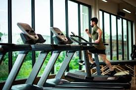 Wellness & Lifestyle